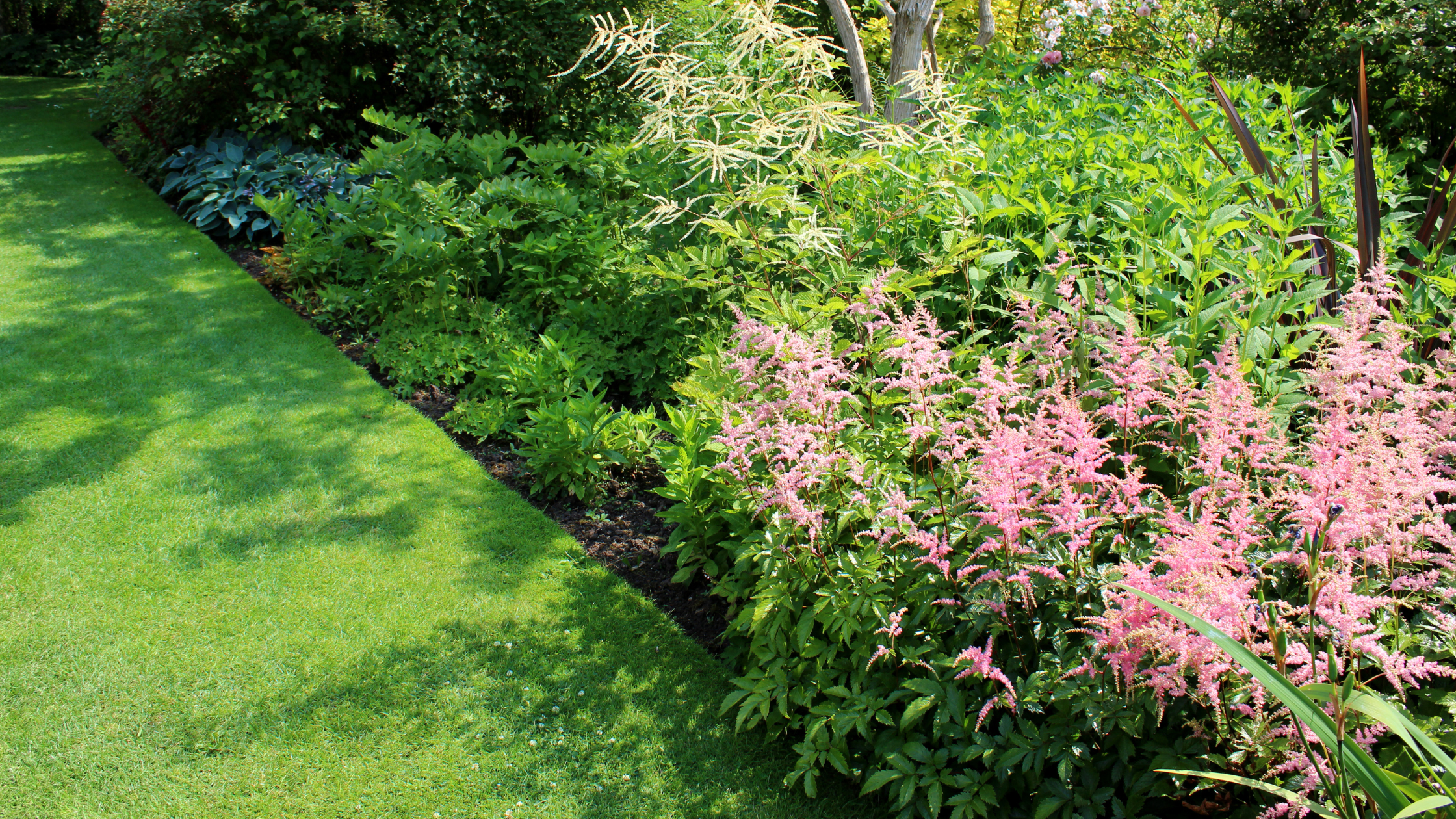 A Polished Landscape With Lawn Edge 