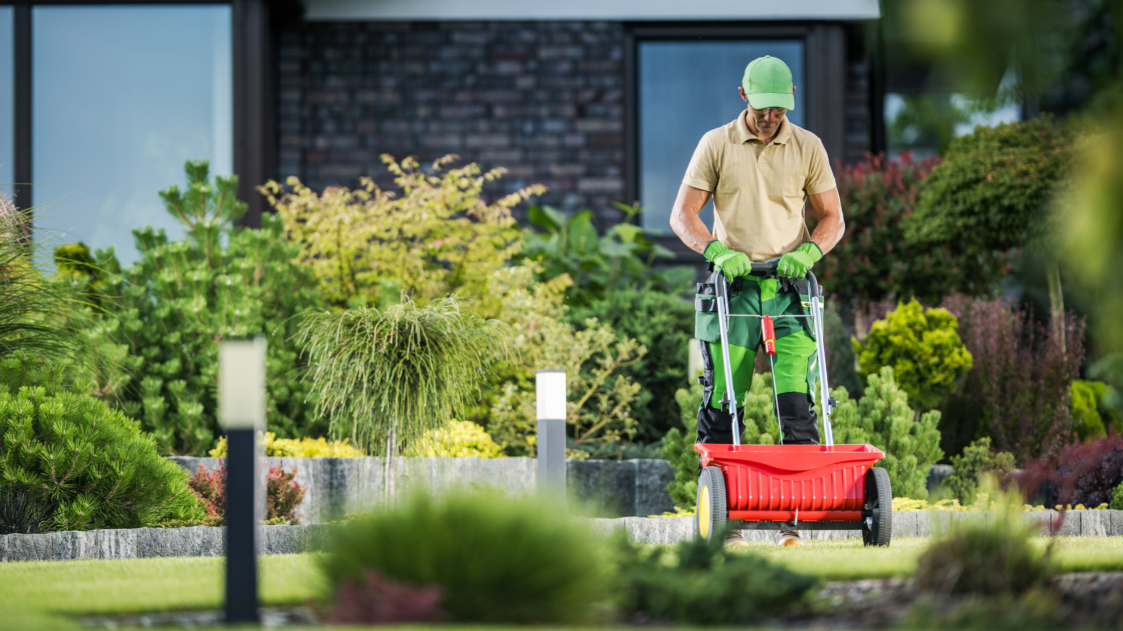 Benefits of Professional Lawn Seeding Services