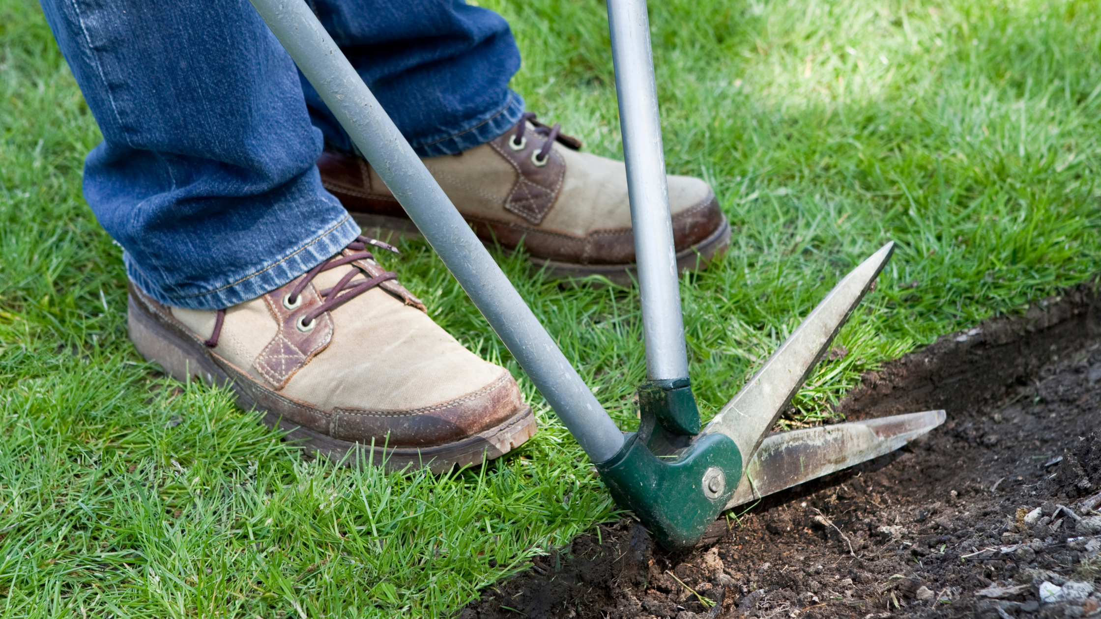 DIY Lawn Edging