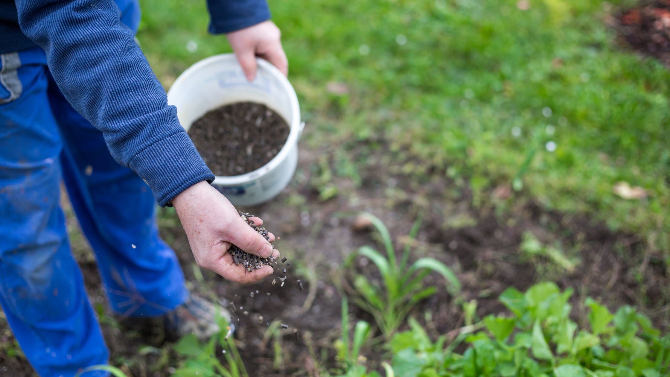 Five Key Benefits of Organic Fertilizers 