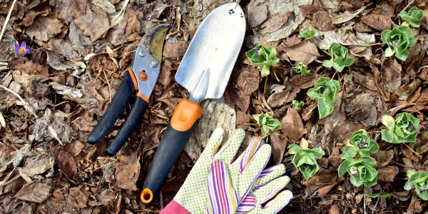 General Yard Clean-up - Spring Landscaping Checklist for Central MA