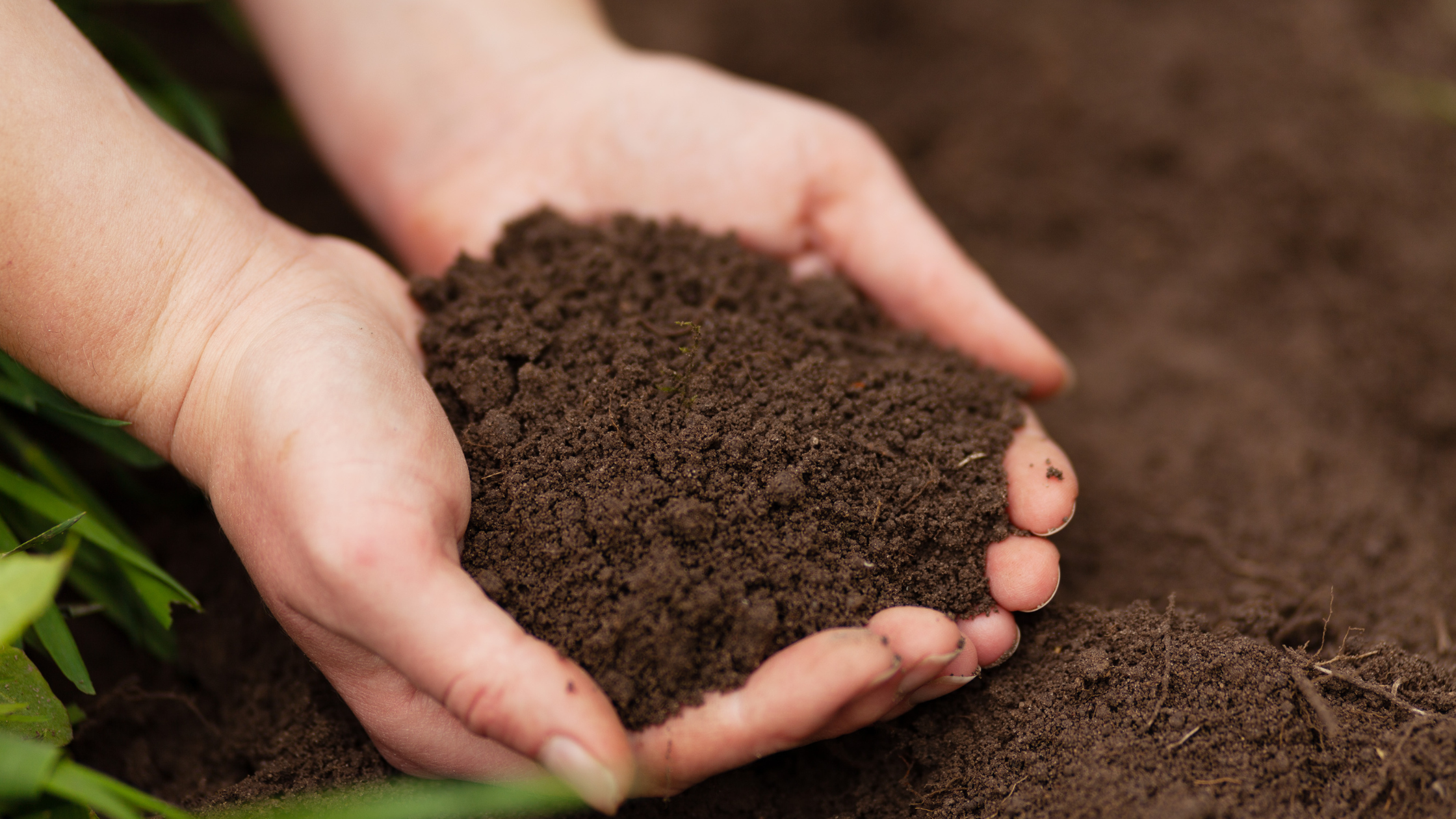 Holding organic soil