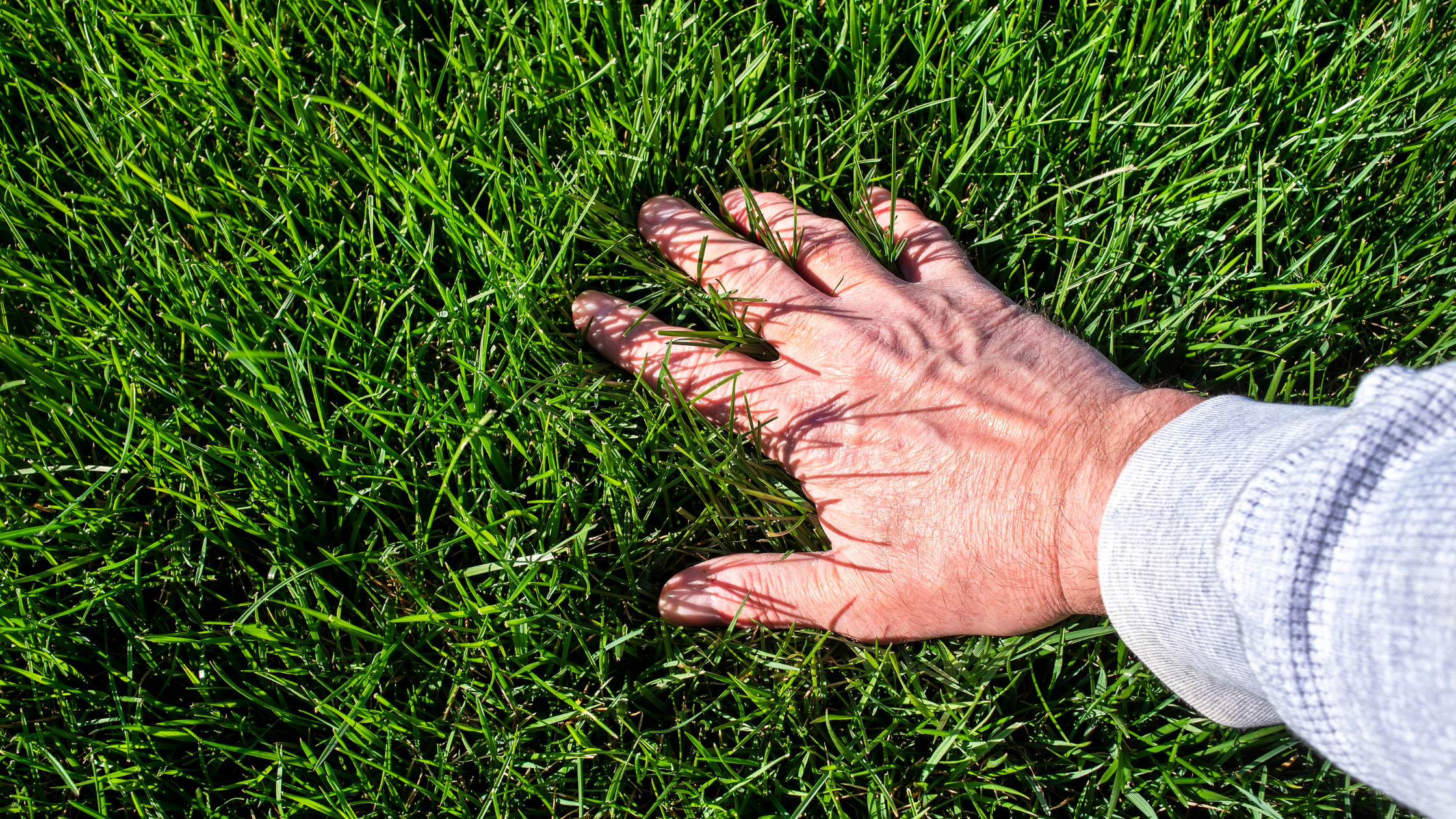 Improper water can lead to a patchy lawn-2