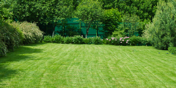 Lawn CareSpring Landscaping Checklist for Central MA