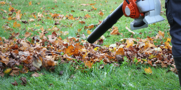 Leaf blowing