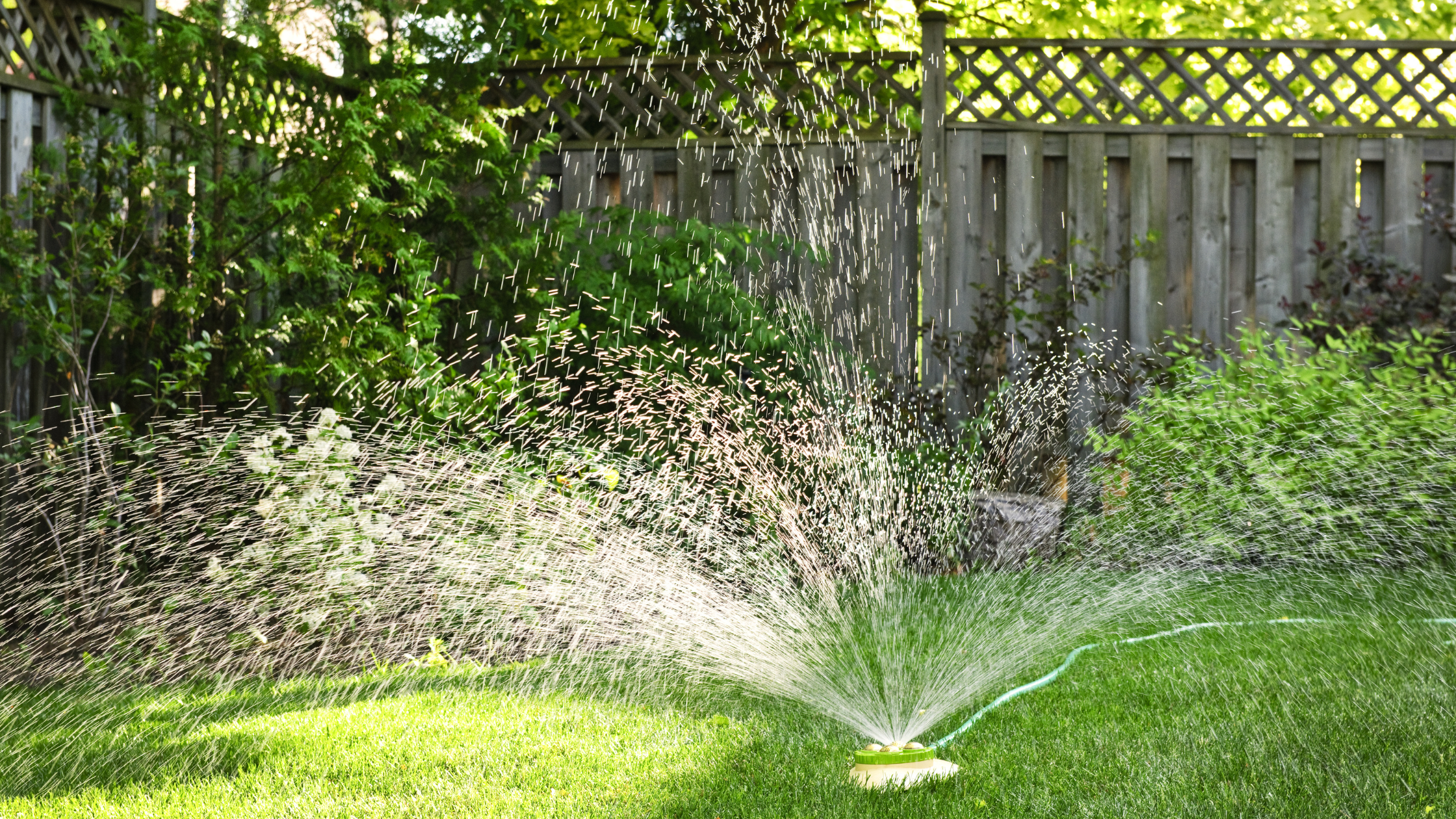 Maintenance Tips for Newly Seeded Lawns