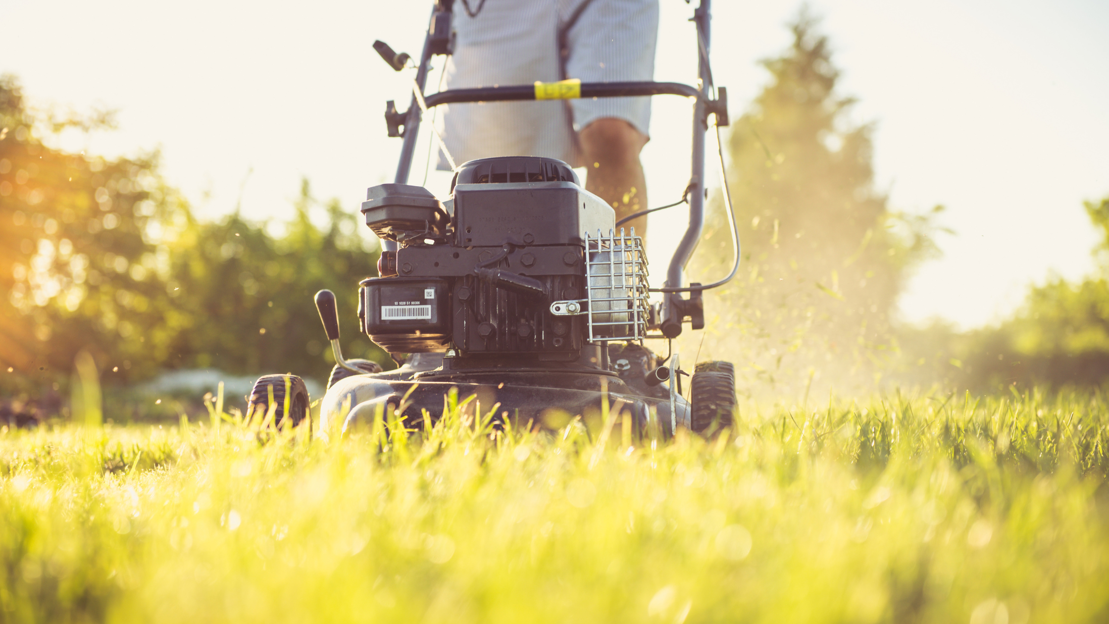 Mowing Lawn