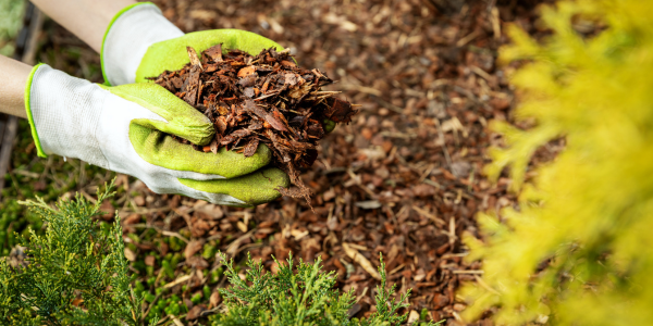 Mulching - Spring Landscaping Checklist for Central MA