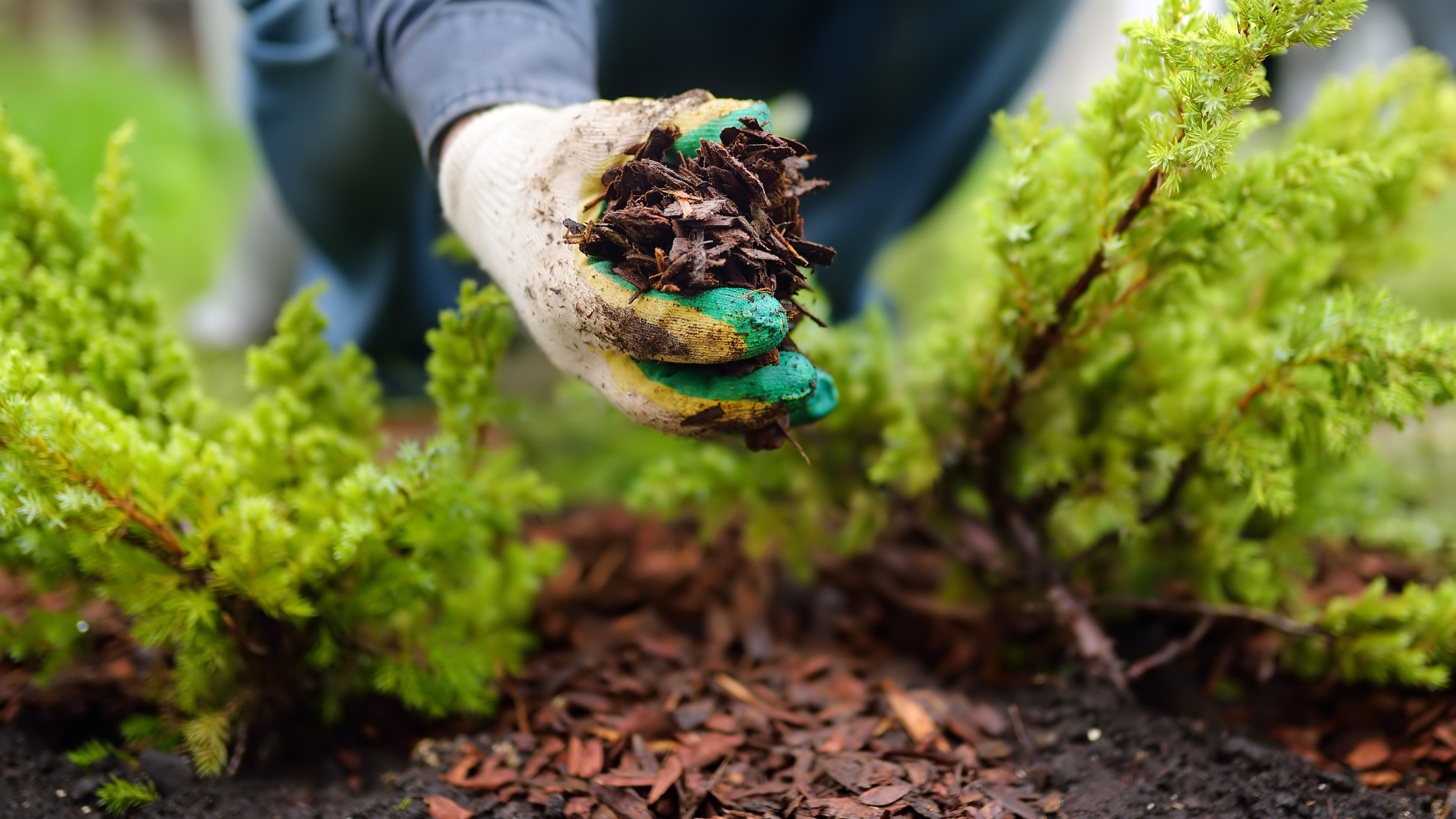 Mulching the landscape