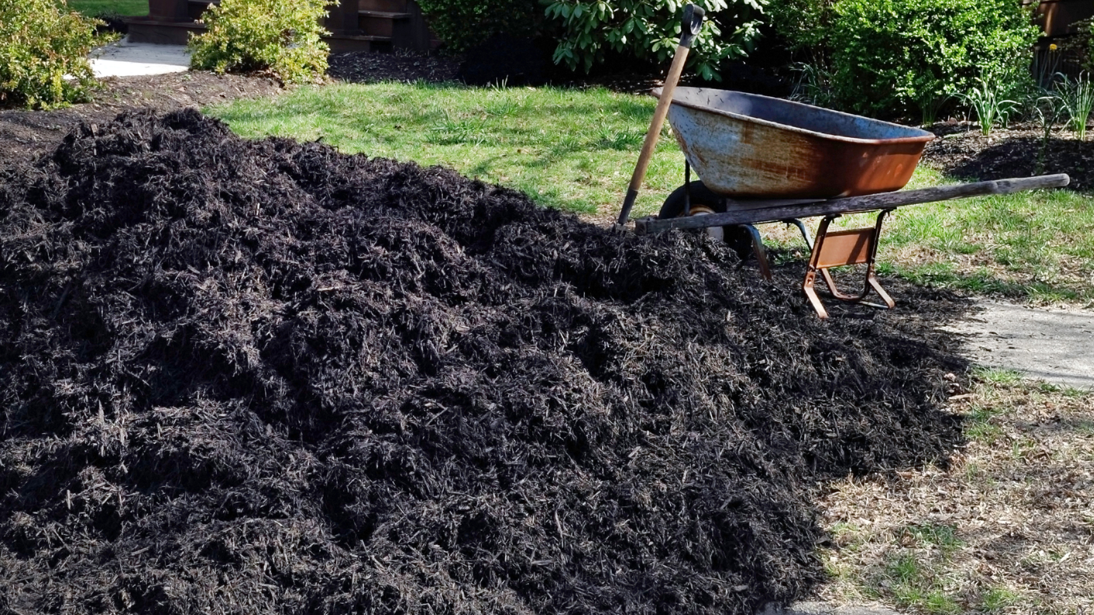 Mulching with a wheelbarrow