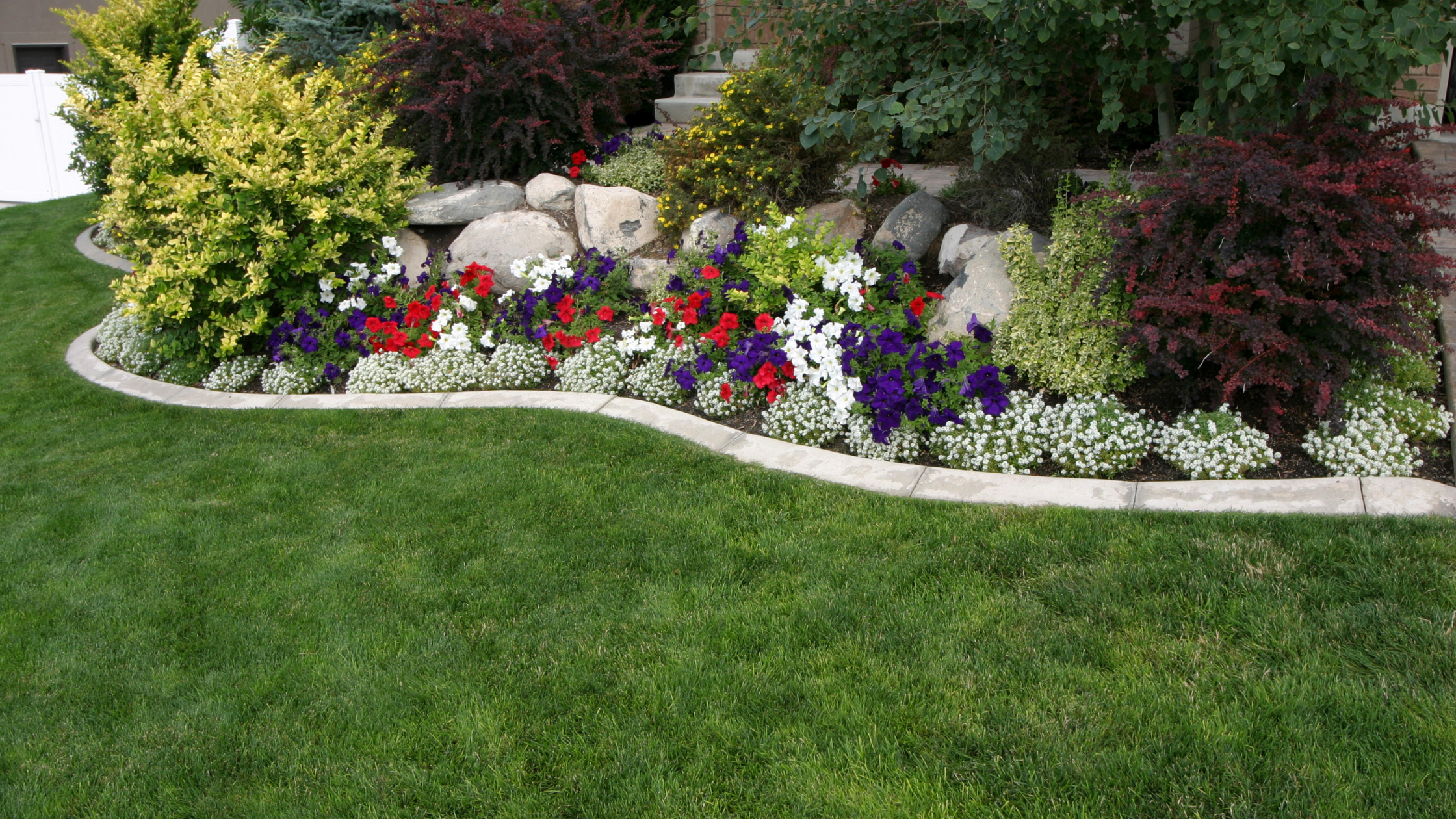 Professionally Maintained Landscape