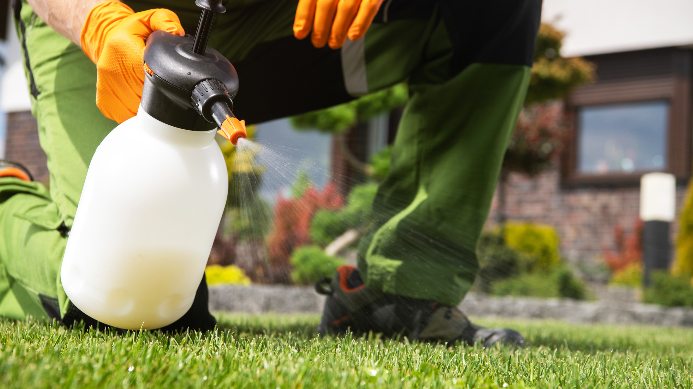 Selecting the Right Herbicides for Your Lawn