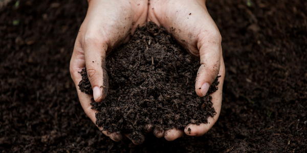 Soil Preparation - Spring Landscaping Checklist for Central MA