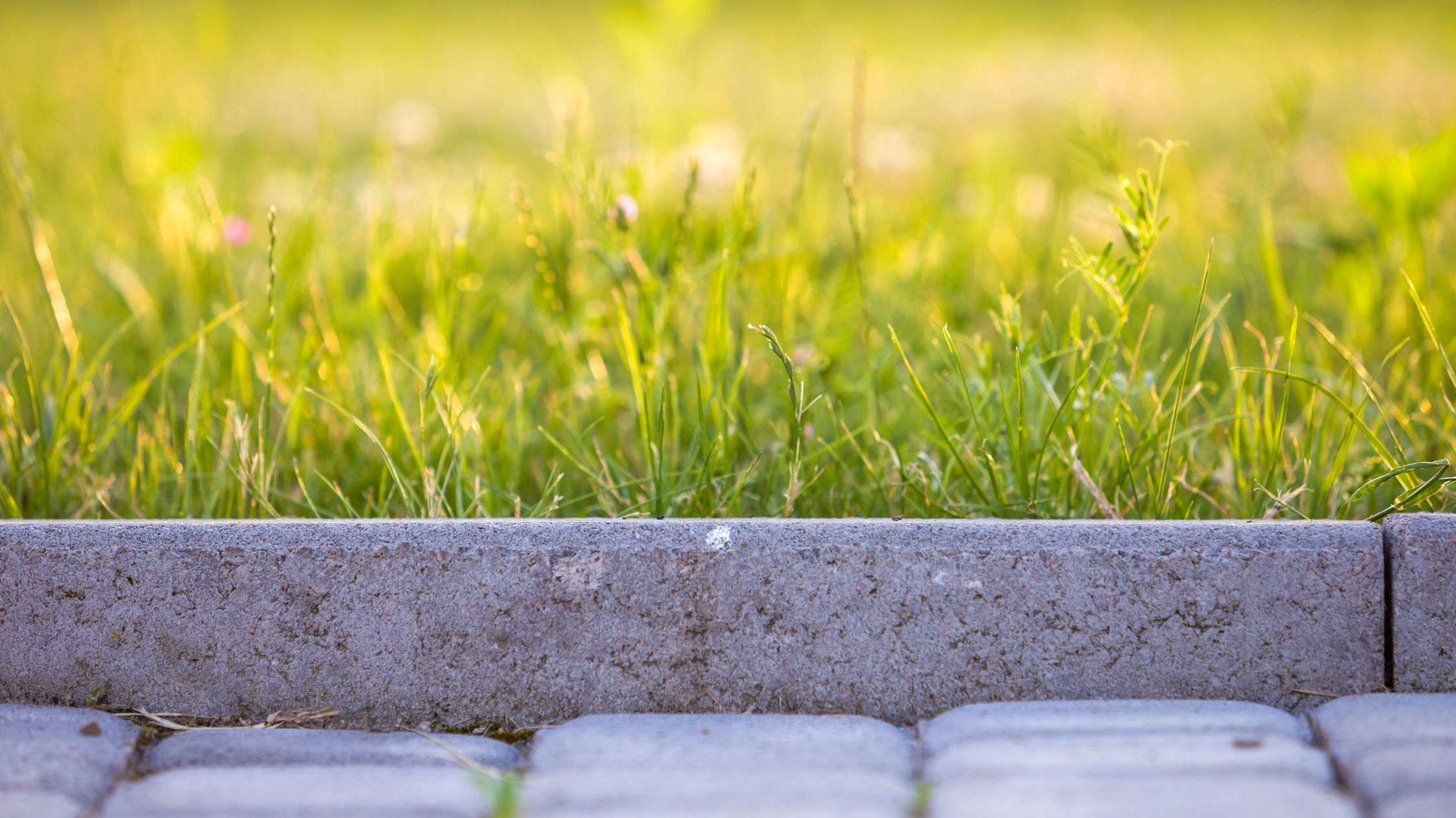 Stone Lawn Edging