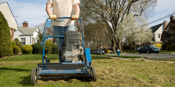 Thatch Buildup - Common Spring Lawn Problems and How to Solve Them 